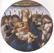 Sandro Botticelli Madonna and child with eight Angels or Raczinskj Tondo France oil painting artist
